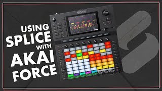 Use Splice with the Akai Force [upl. by Giliane]