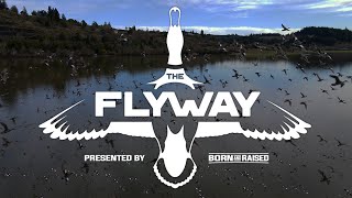 Epic Waterfowl Hunting Footage Welcome to THE FLYWAY [upl. by Ilrac]