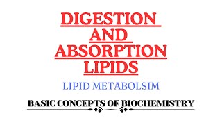 Digestion and Absorption of Lipids  Monoacyl glycerol pathway  Bergstrom theory [upl. by Eikcor]