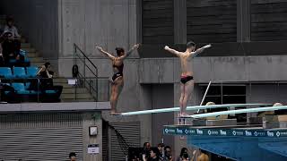 FINACNSG Diving World Series 2019 Sagamihara Mixed 3m Synchro Springboard [upl. by Auvil]