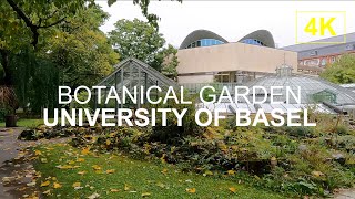 BASEL SWITZERLAND  University of Basel Botanical Garden l 4K Walk [upl. by Wolfy59]