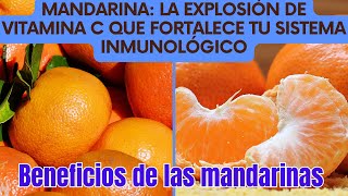 Mandarina La Explosión de Vitamina C que Fortalece tu Sistema Inmunológico [upl. by Daye]