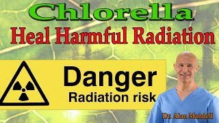 Chlorella The Healing Superfood Power to Harmful Radiation  Dr Alan Mandell DC [upl. by Zurc]