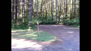 Northrup Creek Horse Camp  best place to horse camp near Oregon Coast [upl. by Flodnar914]