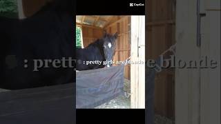 music lyrics song horse allindiamarwarihorsesocietyaa [upl. by Michaella]