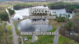 Whats Up Westborough  Ep 5  Reservoir Sandra Pond amp Bowman Conservation [upl. by Silden617]