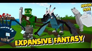 Mod Expansive Fantasy in Addon [upl. by Anazus850]