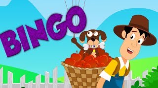 Bingo der Hund Lied  Welpen Reime für Kinder  Bauernhof Hund Reim  Kinderlieder  Bingo The Dog [upl. by Gnort]