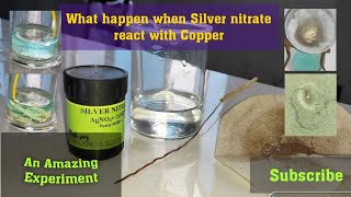 Silver nitrate and Copper metal reaction Experiment Displacement reaction Class 10 Practicals [upl. by Ainoyek]