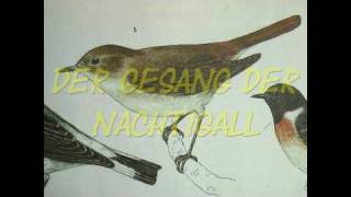 Der Gesang der Nachtigallmpg [upl. by Anilorac]