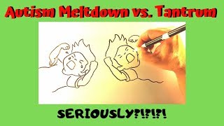 The Difference Between A Meltdown and A Tantrum [upl. by Gavette]