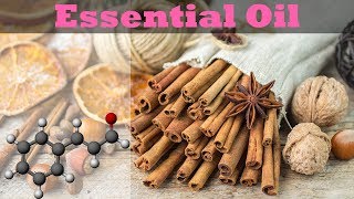 From Cinnamon to Essential Oil Cinnamaldehyde [upl. by Ofilia]