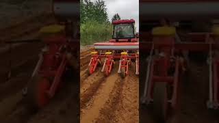 2 4 6 row corn maize groundnut sunflower seed seeder planter machine farm tractor 3 point hitch [upl. by Hinkel]