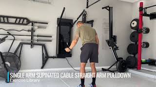 Single Arm Supinated Cable Straight Arm Pulldown [upl. by Ellemac]