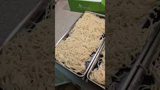 Freeze Drying Spaghetti meal for long term food storage  harvestright prepper prepardness [upl. by Arihk530]