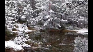 Soria ya se tiñe de blanco con nieve en Urbión [upl. by Ynohtnad]