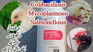 Antibiotic to Treat Salmonellosis Mycoplasmosis and Colibacillosis in Poultry  Dr ARSHAD [upl. by Anitsej590]