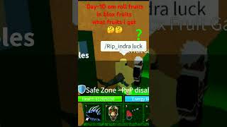 Im try to gat a kitsune fruit Day10 roblox bloxfruits memes [upl. by Sayers694]