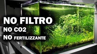 Acquario SENZA FILTRO  Allestimento e Tutorial [upl. by Anni638]