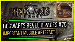 Hogwarts Castle Field Guide Revelio Pages 75 Important Muggle Artefact [upl. by Henrique180]