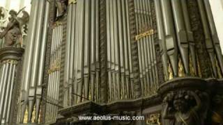 Widor  quotMattheusFinalquot from quotBachs Mementoquot played by Peter Van de Velde Antwerp Cathedral [upl. by Natek]