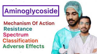 Aminoglycoside  Classification  Mechanism  Resistance  Spectrum  Adverse Effects [upl. by Shirberg]