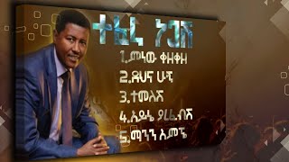 የተፈራ ነጋሽ ምርጥ ዘፈኖች Best of Tefera Negash [upl. by Cichocki]