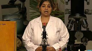 Biology MIcroscope Hindi [upl. by Mitchell805]