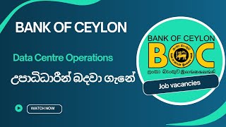 Bank of Ceylon New Job Vacancies [upl. by Israeli]