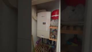 Boiler Service amp Gas Safety Check Today vlog dayinthelife gasengineerinlondon [upl. by Saxen]