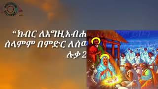 የልደት በዓል የገና ዝማሬዎች ስብስብ Yegena YeEyesus kirstos Lidet Orthodox Mezmur mp4 [upl. by Tarsus]