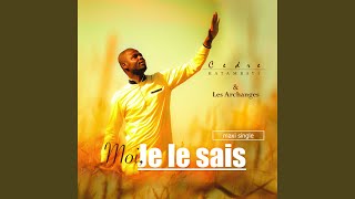 Moi JE LE SAIS [upl. by Peterman]