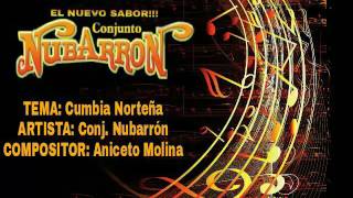 Conjunto Nubarron Cumbia Norteña [upl. by Enajaras867]