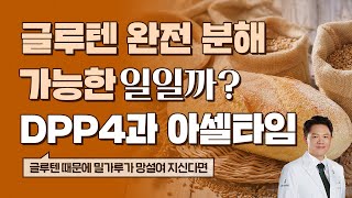 글루텐 완전 분해 가능할까 DPP4와 아셀타임 차이점아셀타임 글루텐s 3편 [upl. by Allisurd992]