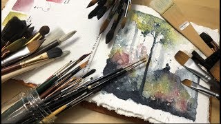 how to organize watercolor paint brushes [upl. by Earlie]