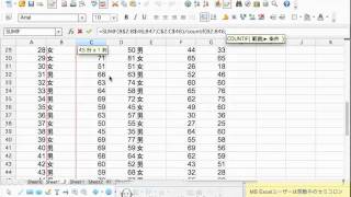 条件にあった値だけ合計するSUMIF関数 [upl. by Ahsienauq]