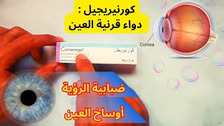 معلومات دواء القرنية كورنيريجيل Corneregel [upl. by Cocke]