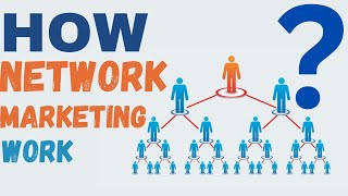 How does Network Marketing works All Details [upl. by Aneerehs552]