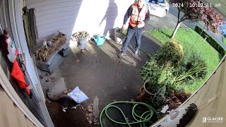 Watch BC delivery driver throws package at cats face [upl. by Yesnik]