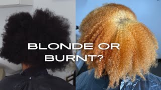 Bleaching Natural Curly Hair Blonde OR Burnt What Happened [upl. by Grounds328]