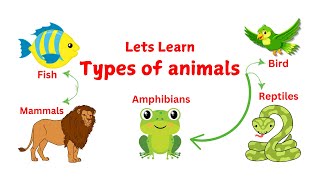 Types of Animals for Kids  Types of Animals for Kindergarten  Mastering Animal Classification [upl. by Yrannav]