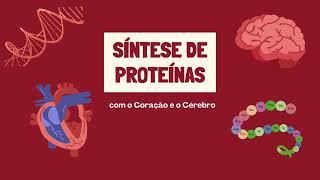 A Síntese de Proteínas [upl. by Alix]