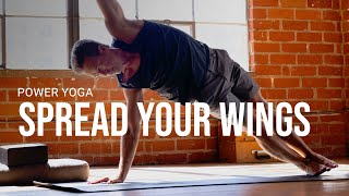 Power Yoga SPREAD YOUR WINGS l Day 12  EMPOWERED 30 Day Yoga Journey [upl. by Arihat]