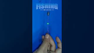 Best Bottom Fishing Rigs short fishingrig fishingrigs fishingknot fishingknots [upl. by Rebba]