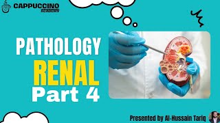 Renal Pathology Part 4 [upl. by Ainek225]