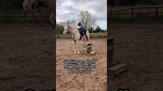 Getting on amp off 17hh Stallion horse horseriding equestrian pony showjumping horselover [upl. by Tarsuss]