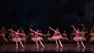 LA BAYADÈRE  Pas de Quatre  Act 2 Royal Ballet [upl. by Ecinev]