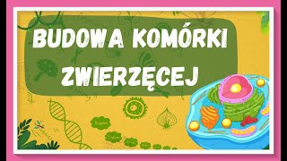 Budowa komórki zwierzęcej  lekcja biologii dla klasy 5 [upl. by Alyahsal]