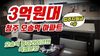 오송역 동아라이크텐 청주 3억원대 특별분양 아파트 [upl. by Acirederf]