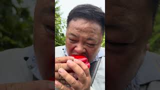 Does anyone like eating bell peppers like Pao shorts bushcraft dailylife survival outdoors [upl. by Suolevram]